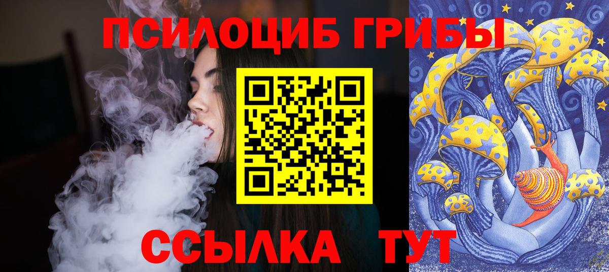 Галлюциногенные грибы Psilocybine cubensis  Вход с VPN  Псилоцибиновые грибы Magic Shrooms  Котлас 